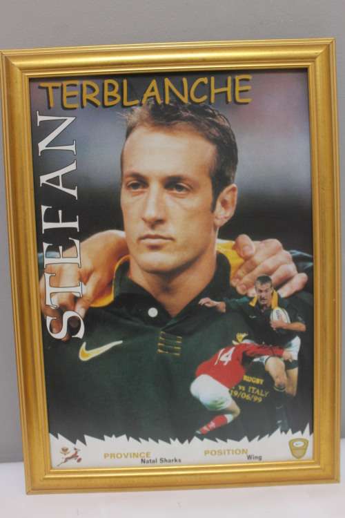 Framed Springbok - Stefan Terblanche