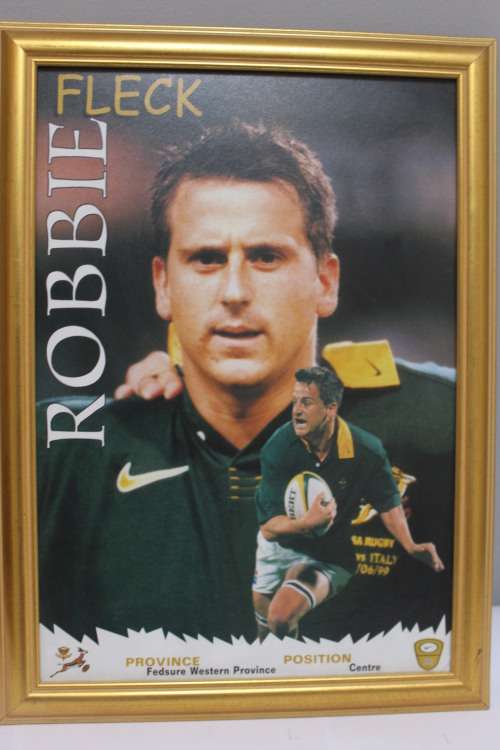 Framed Springbok - Robbie Fleck