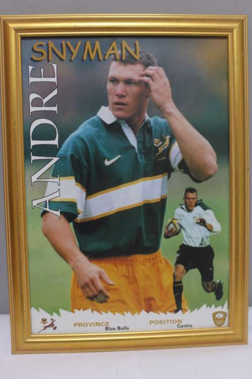 Framed Springbok - Andre Snyman