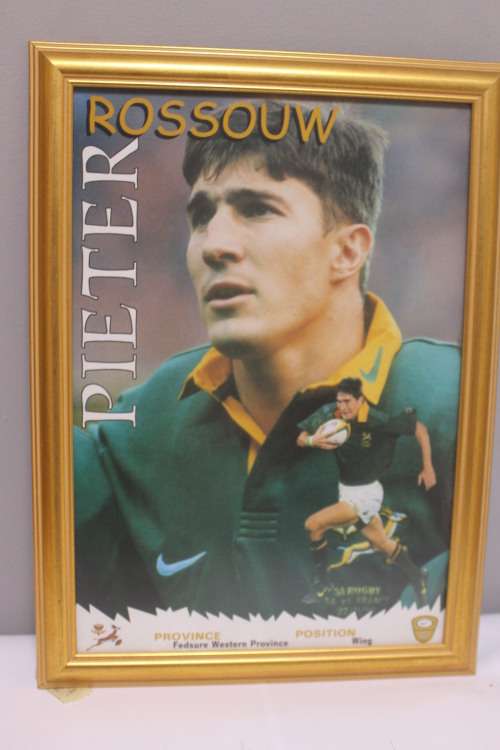 Framed Springbok- Pieter Rossouw
