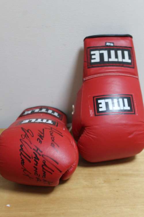 Harold "The Hammer" Volbrecht boxing gloves