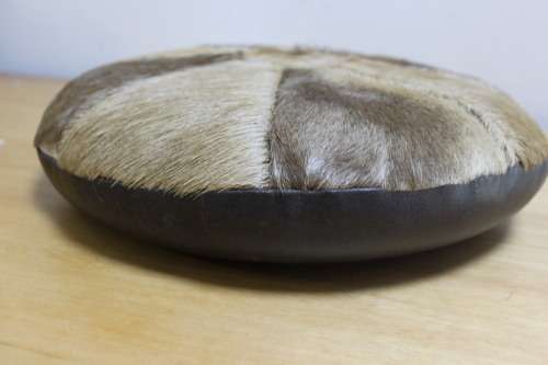 Animal Skin Cushion