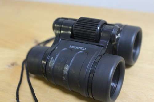 Bushtell 4x30 Binoculars