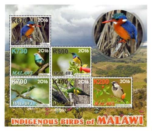 Malawi - 2016 Birds of Malawi Sheetlet MNH