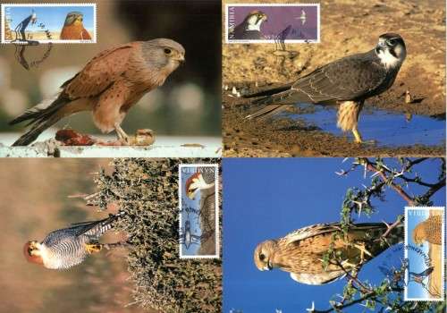 Namibia - 1999 Falcons Maxi Card Set