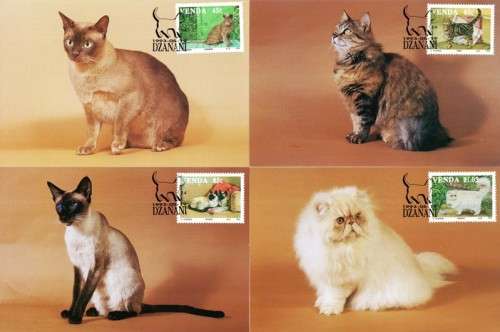 Venda - 1993 Cats Maxi Card Set