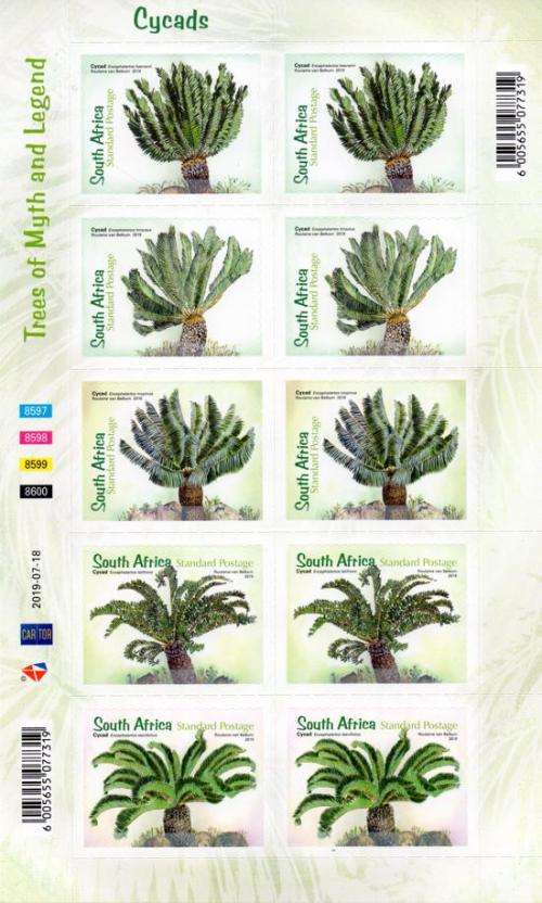 South Africa - 2019 Cycads Sheet MNH