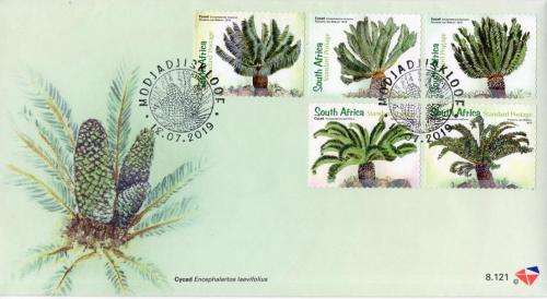 South Africa - 2019 Cycads FDC 8.121