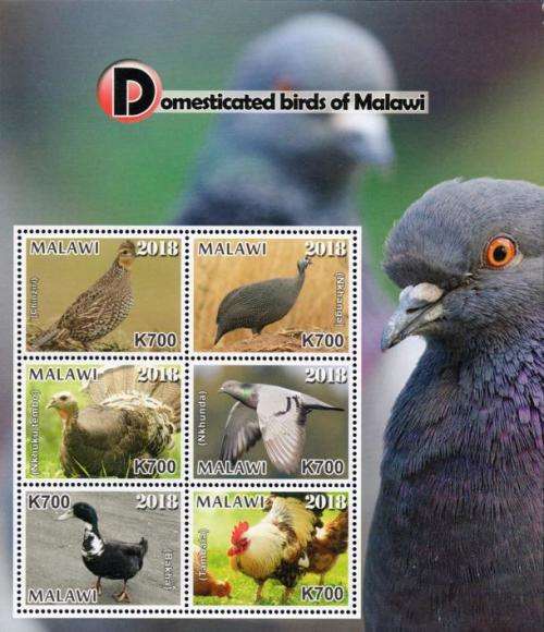 Malawi - 2018 Domesticated Birds Sheetlet MNH