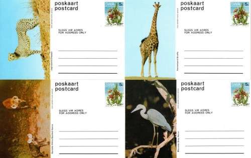SWA - 1980 Succulents 5c Postcard Set Mint