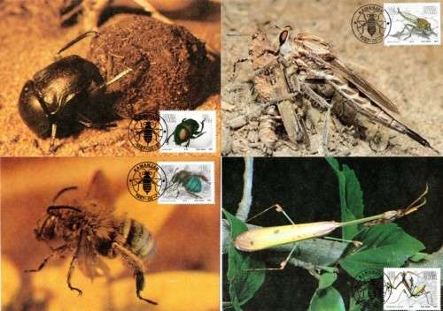 SWA - 1987 Useful Insects Maxi Card Set