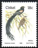 Ciskei - 1989 Birds 18c Additional Value SACC 157