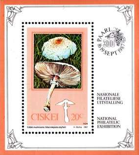 Ciskei - 1987 Edible Mushrooms Philatelic Foundation MS MNH SACC 111a