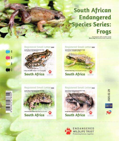 South Africa - 2020 Endangered Frogs Sheetlet MNH
