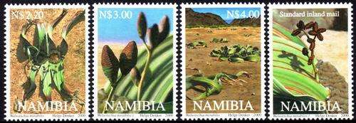 Namibia - 2000 Welwitschia MNH Set SACC 337-340