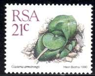 South Africa - 1990 Succulents 21c Additional Value MNH SACC 721