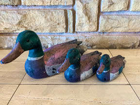 Duck Trio Display