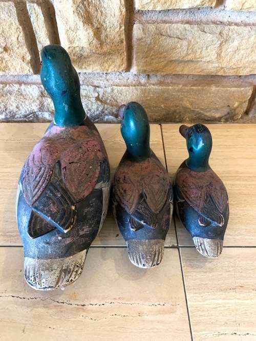 Duck Trio Display