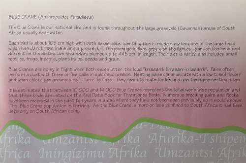 1996 SA UNCIRCULATED/MINT PACK