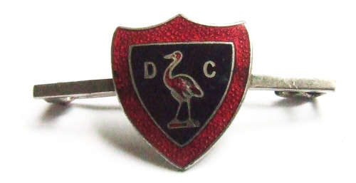 Dale College Pin Badge