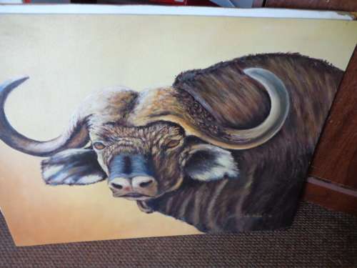 THE BUFFALO BY G DE WAAL  SEE SCANS READ ON