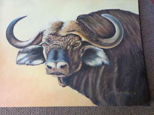 THE BUFFALO BY G DE WAAL  SEE SCANS READ ON