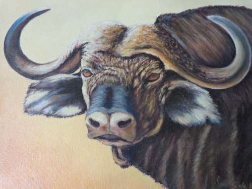 THE BUFFALO BY G DE WAAL  SEE SCANS READ ON