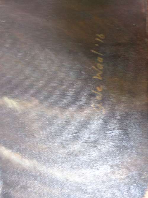 THE BUFFALO BY G DE WAAL  SEE SCANS READ ON