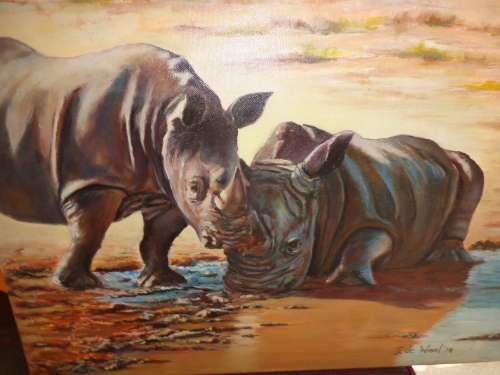 RHINOs AT WATERHOLE BOXED ON CANVAS .61 x 46 cm (2014 ) STORED..READ ON...