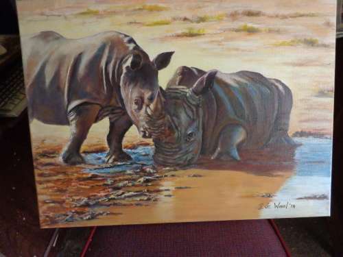 RHINOs AT WATERHOLE BOXED ON CANVAS .61 x 46 cm (2014 ) STORED..READ ON...