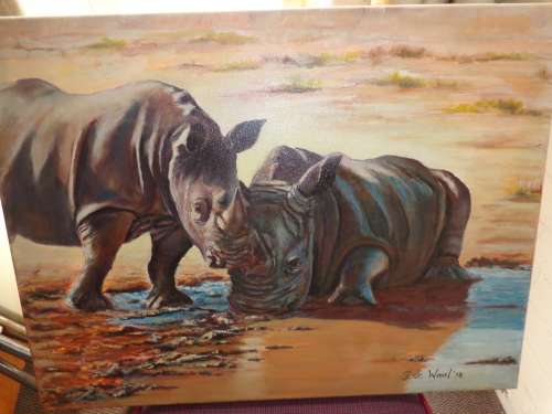 RHINOs AT WATERHOLE BOXED ON CANVAS .61 x 46 cm (2014 ) STORED..READ ON...