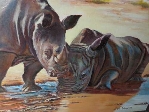 RHINOs AT WATERHOLE BOXED ON CANVAS .61 x 46 cm (2014 ) STORED..READ ON...