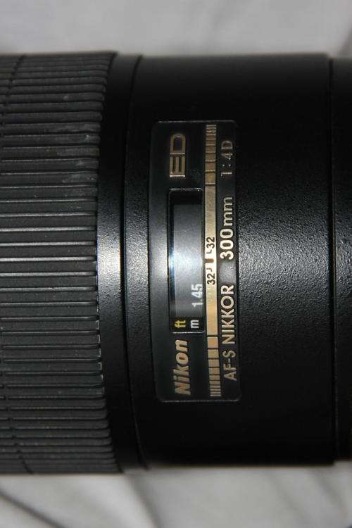 Nikon AF-S Nikkor 300mm f/4D IF-ED