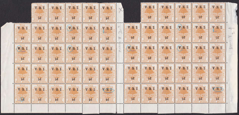 OFS - 1900 ½d ON ½d ORANGE GUTTER SHEET WITH 60 STAMPS (WITH VARIETIES) - UNMOUNTED MINT
