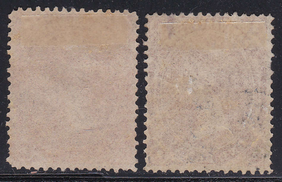 TRANSVAAL 1878 SACC159a & 160  1d BROWN-RED & 1d PALE RED-BROWN - MM CV R700