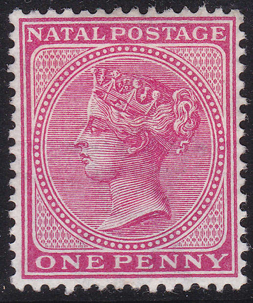 NATAL 1884 SACC95  1d  ROSE LMM CV R70