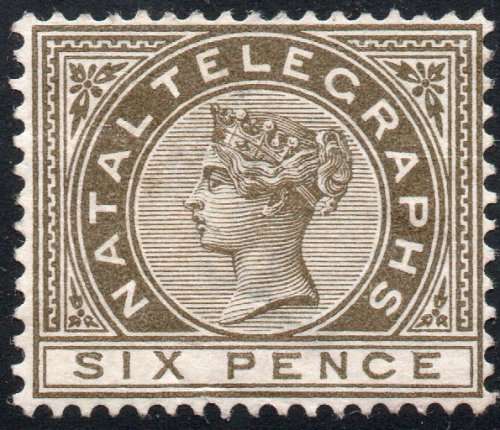 NATAL 1881 SG T3 6d BROWN-OLIVE TELEGRAPH STAMP MNG