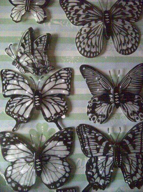 Fantastic Removable 3D Wall Bedroom Room Stickers - Black & White Butterfly Design