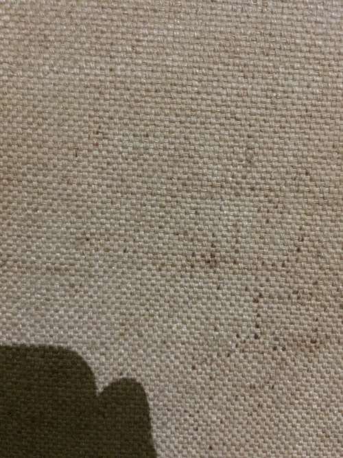 Rare19th century Dutch old masters still life !!!!!!!!!!!