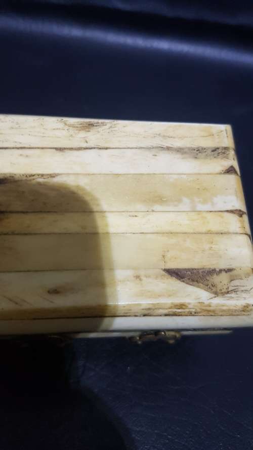 Beatifull bone and grass box!!!!