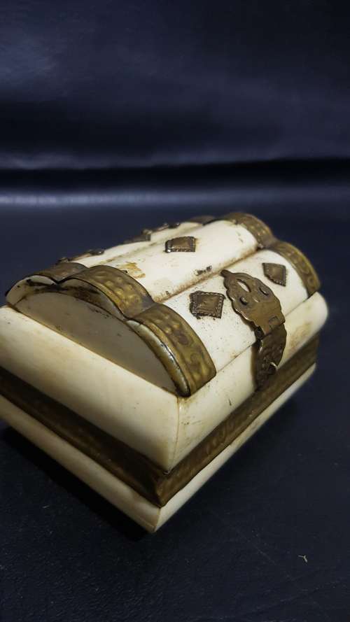 Beatifull bone and grass box!!!!