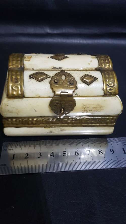 Beatifull bone and grass box!!!!