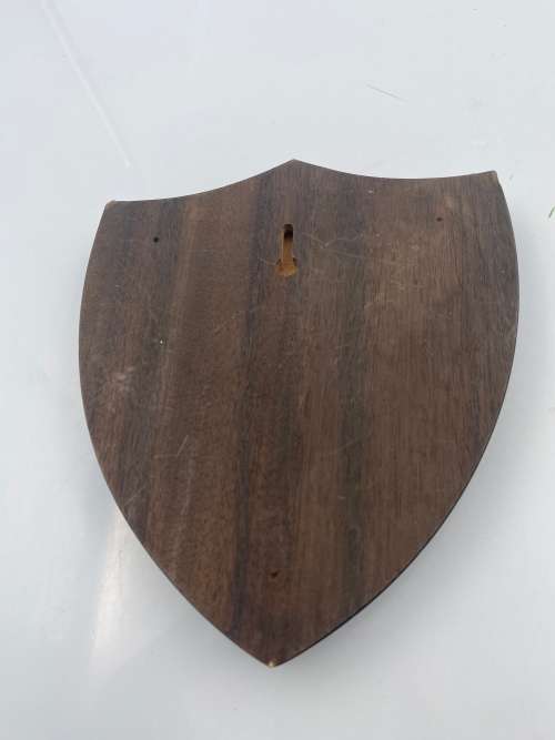 AUSTRALIA MILITARY FORCE PUCKAPUNYAL REGIMENT WING!!!