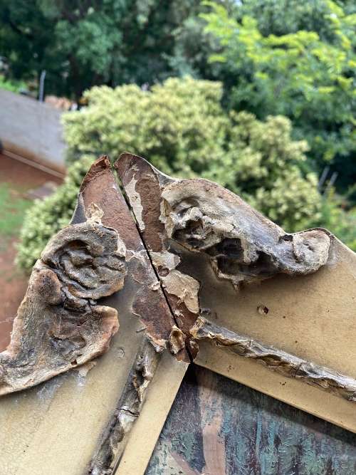 ORIGINAL OIL ON BOARD PAINTING SIGNED L.ALBERTYN SIZE 64C X 89CM HAS DAMAGES !!!!