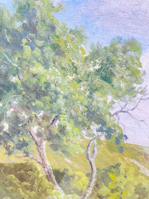 ORIGINAL VERA VOLSCHENK!!!!! INVESTMENT ART OIL PAINTING SIGNED AND DATED 1975 LISTED SA ARTIST !!!!