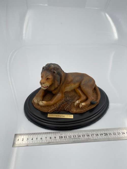 FEATHERS OF KNYSNA FEATHERS WILDLIFE !!!!