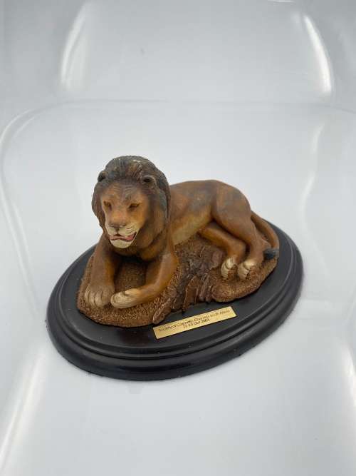 FEATHERS OF KNYSNA FEATHERS WILDLIFE !!!!