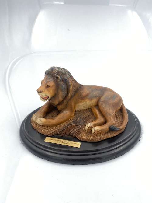 FEATHERS OF KNYSNA FEATHERS WILDLIFE !!!!