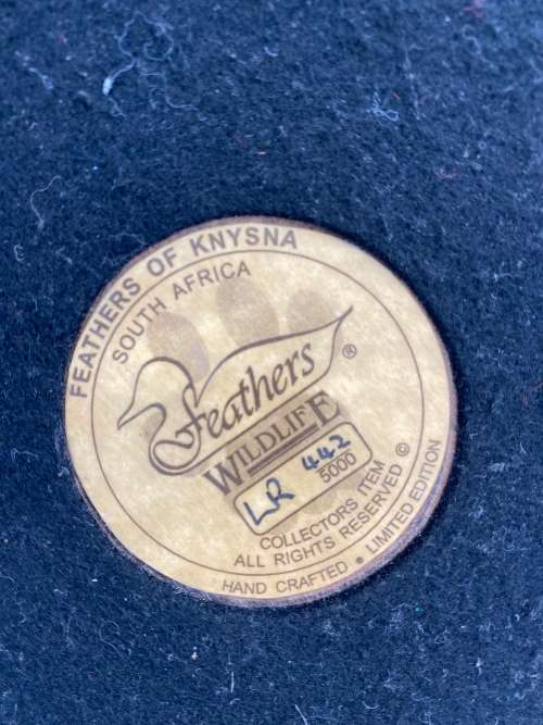 FEATHERS OF KNYSNA FEATHERS WILDLIFE !!!!