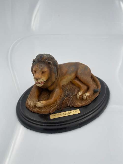 FEATHERS OF KNYSNA FEATHERS WILDLIFE !!!!